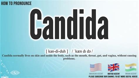 pronounce candida|candida how to say.